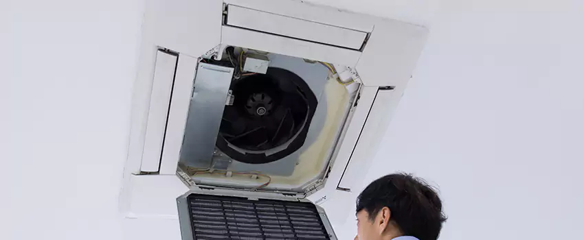 Benefits of Professional Air Duct Cleaning in Kaneohe, Hawaii