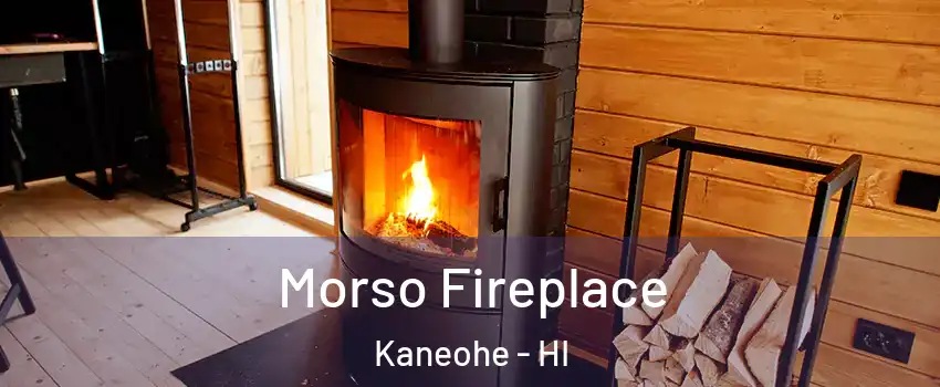  Morso Fireplace Kaneohe - HI