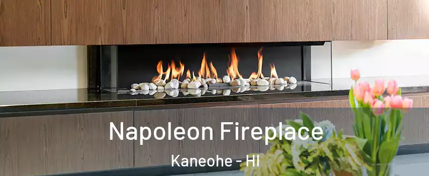  Napoleon Fireplace Kaneohe - HI