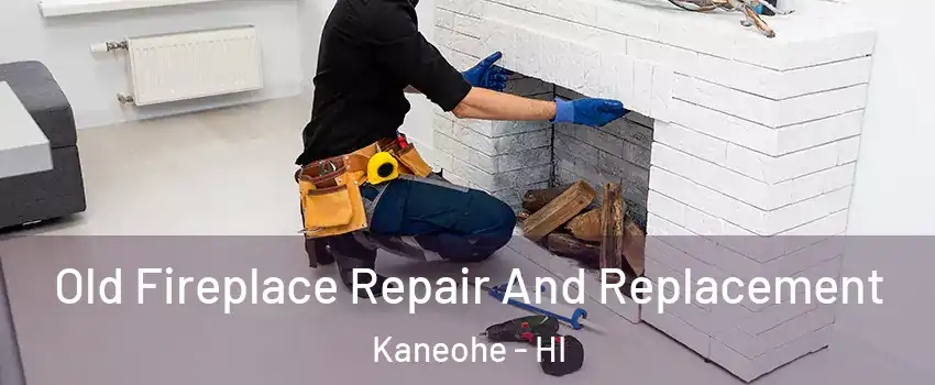  Old Fireplace Repair And Replacement Kaneohe - HI
