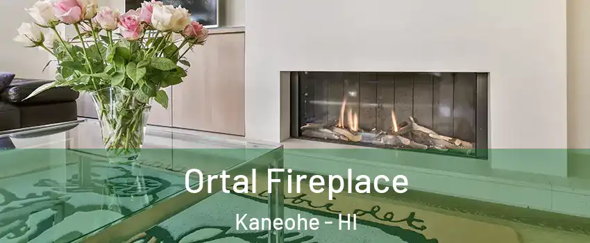 Ortal Fireplace Kaneohe - HI