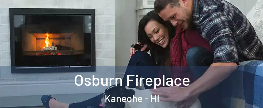  Osburn Fireplace Kaneohe - HI