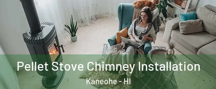  Pellet Stove Chimney Installation Kaneohe - HI