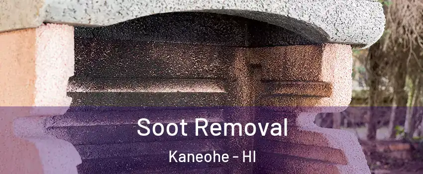  Soot Removal Kaneohe - HI