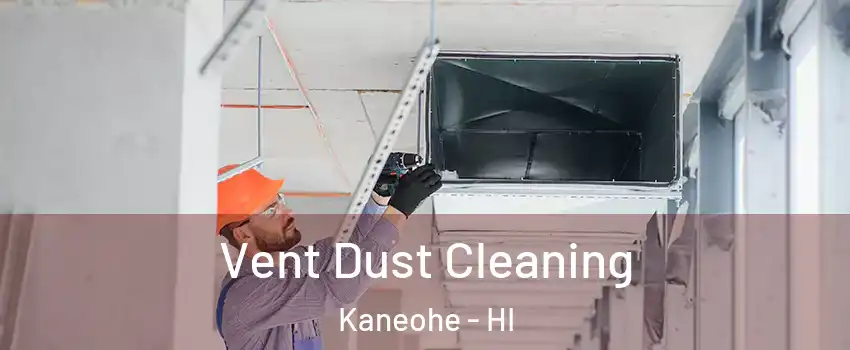  Vent Dust Cleaning Kaneohe - HI