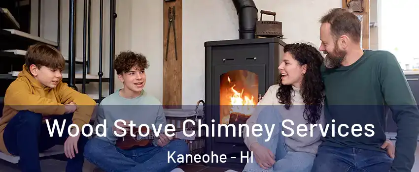  Wood Stove Chimney Services Kaneohe - HI