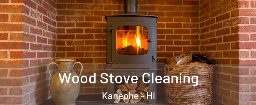  Wood Stove Cleaning Kaneohe - HI